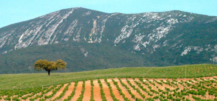 Arrábida Natural Park, Geology Arrábida Natural Park, Geology